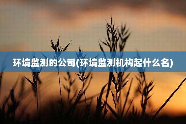 环境监测的公司(环境监测机构起什么名)