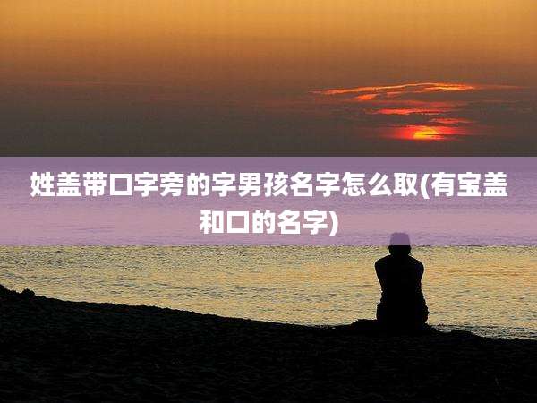姓盖带口字旁的字男孩名字怎么取(有宝盖和口的名字)