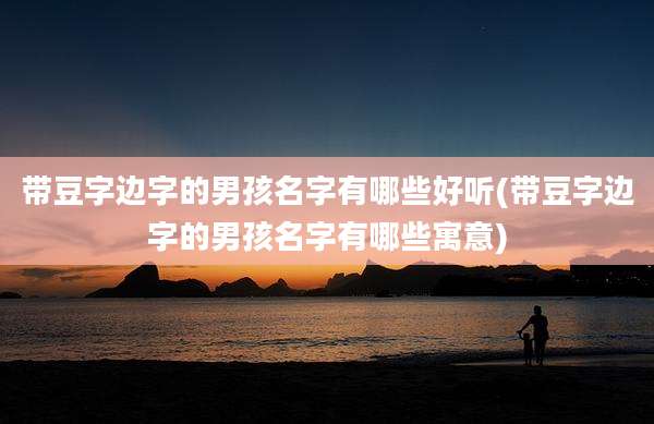 带豆字边字的男孩名字有哪些好听(带豆字边字的男孩名字有哪些寓意)