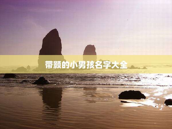 带颢的小男孩名字大全