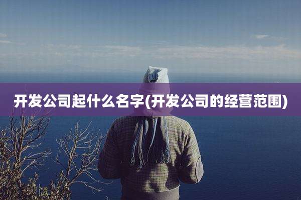 开发公司起什么名字(开发公司的经营范围)