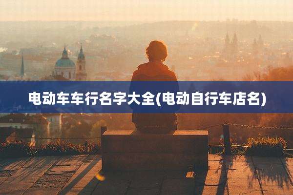 电动车车行名字大全(电动自行车店名)