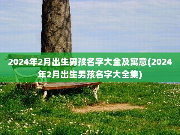 2024年2月出生男孩名字大全及寓意(2024年2月出生男孩名字大全集)