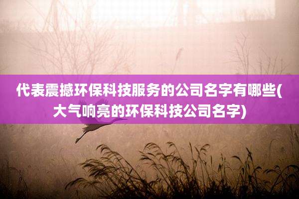代表震撼环保科技服务的公司名字有哪些(大气响亮的环保科技公司名字)
