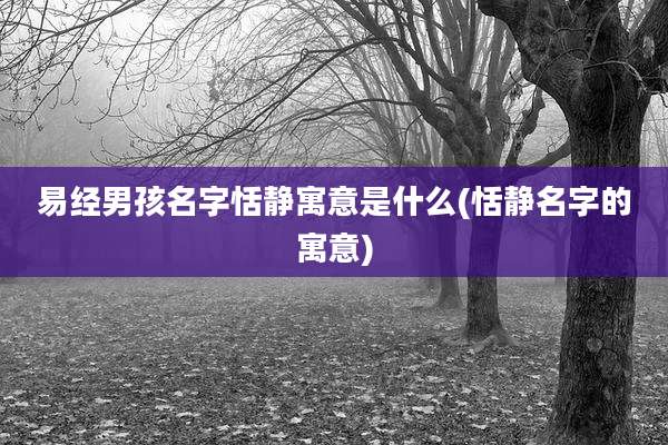易经男孩名字恬静寓意是什么(恬静名字的寓意)
