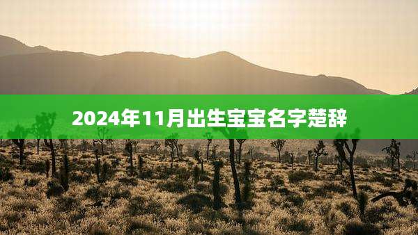 2024年11月出生宝宝名字楚辞