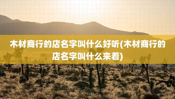 木材商行的店名字叫什么好听(木材商行的店名字叫什么来着)