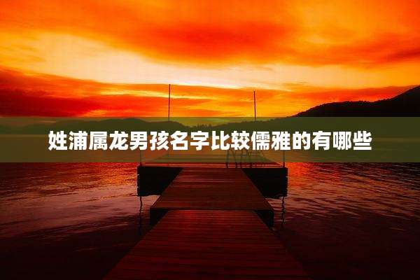 姓浦属龙男孩名字比较儒雅的有哪些