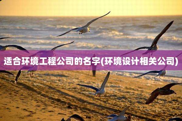 适合环境工程公司的名字(环境设计相关公司)