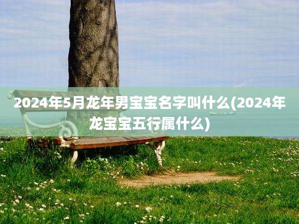 2024年5月龙年男宝宝名字叫什么(2024年龙宝宝五行属什么)