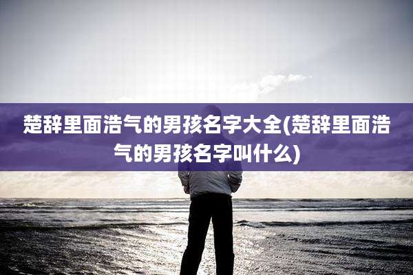 楚辞里面浩气的男孩名字大全(楚辞里面浩气的男孩名字叫什么)