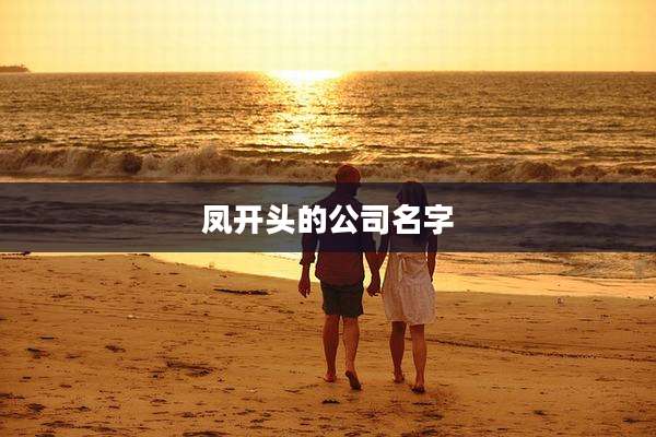 凤开头的公司名字
