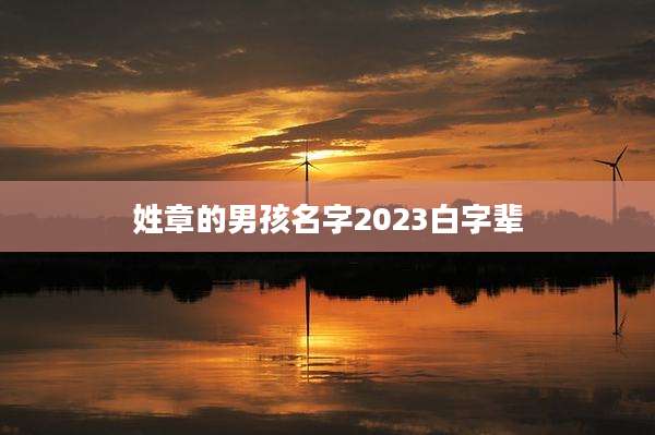 姓章的男孩名字2023白字辈