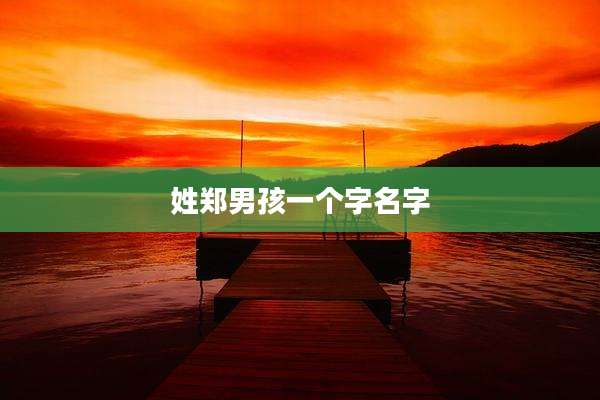 姓郑男孩一个字名字