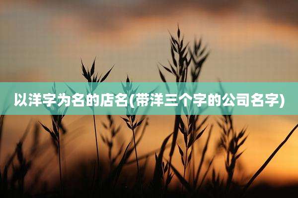 以洋字为名的店名(带洋三个字的公司名字)