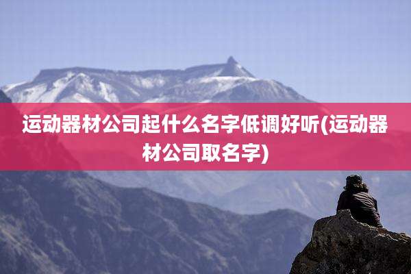 运动器材公司起什么名字低调好听(运动器材公司取名字)
