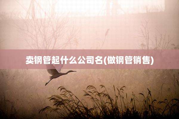 卖钢管起什么公司名(做钢管销售)