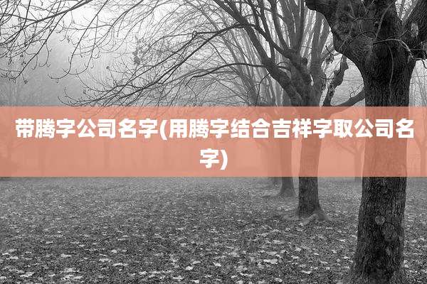 带腾字公司名字(用腾字结合吉祥字取公司名字)