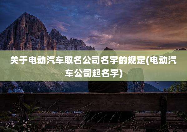 关于电动汽车取名公司名字的规定(电动汽车公司起名字)