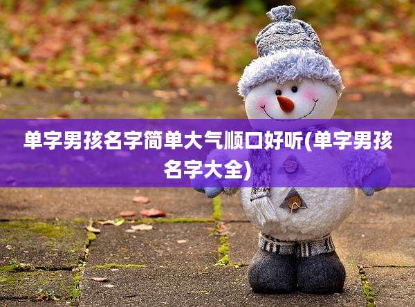 单字男孩名字简单大气顺口好听(单字男孩名字大全)