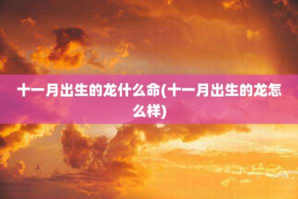 十一月出生的龙什么命(十一月出生的龙怎么样)