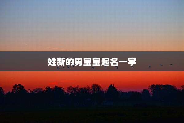 姓新的男宝宝起名一字