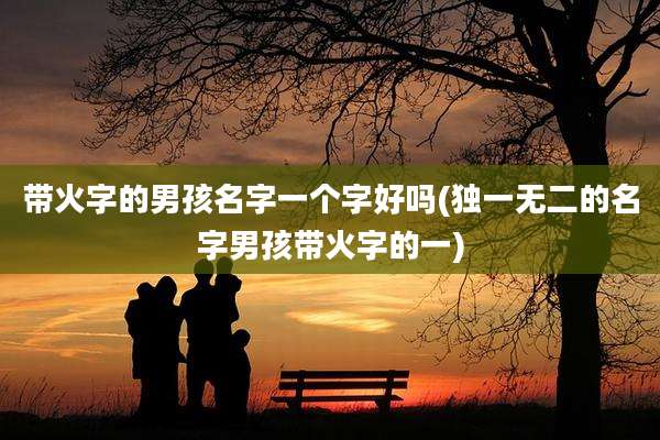 带火字的男孩名字一个字好吗(独一无二的名字男孩带火字的一)