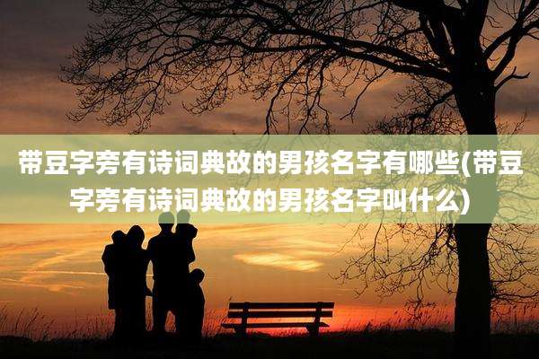 带豆字旁有诗词典故的男孩名字有哪些(带豆字旁有诗词典故的男孩名字叫什么)