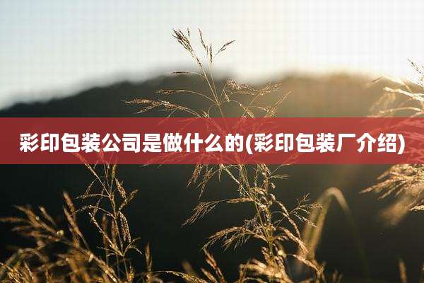 彩印包装公司是做什么的(彩印包装厂介绍)