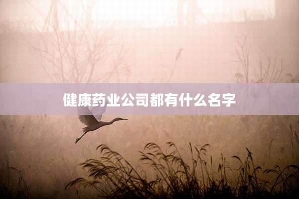 健康药业公司都有什么名字