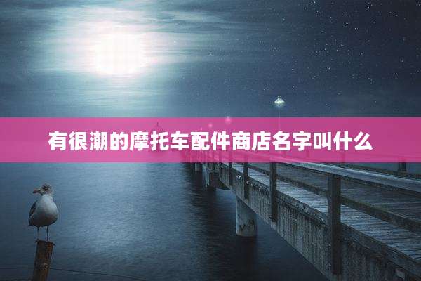 有很潮的摩托车配件商店名字叫什么