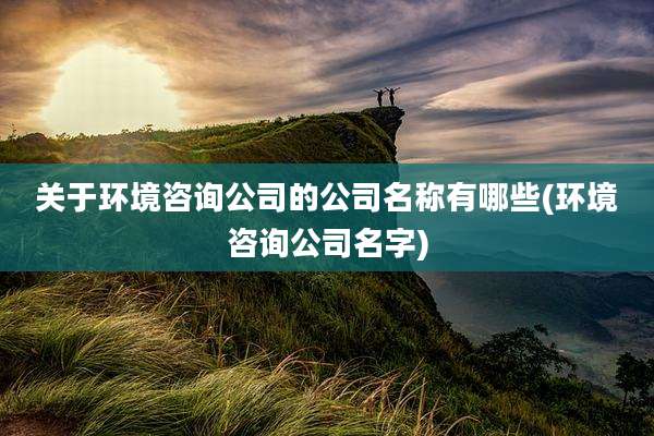 关于环境咨询公司的公司名称有哪些(环境咨询公司名字)
