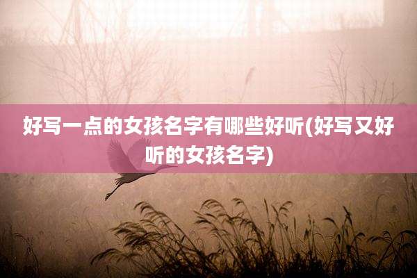好写一点的女孩名字有哪些好听(好写又好听的女孩名字)