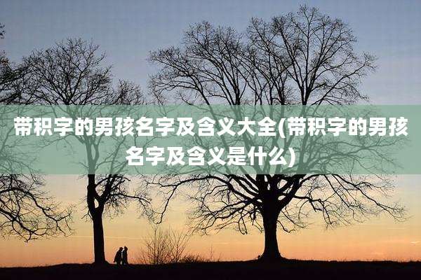 带积字的男孩名字及含义大全(带积字的男孩名字及含义是什么)