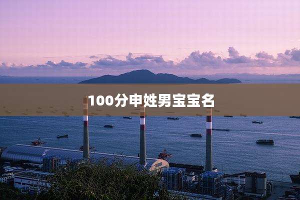 100分申姓男宝宝名