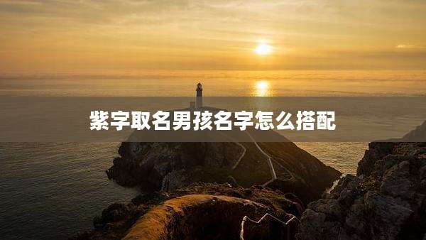 紫字取名男孩名字怎么搭配