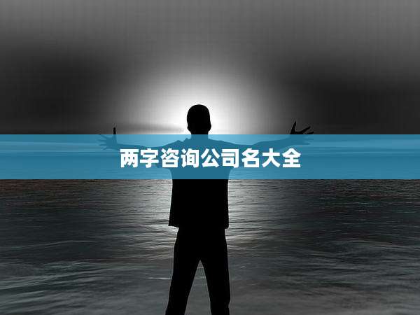 两字咨询公司名大全