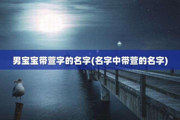男宝宝带萱字的名字(名字中带萱的名字)