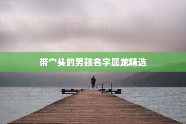 带宀头的男孩名字属龙精选
