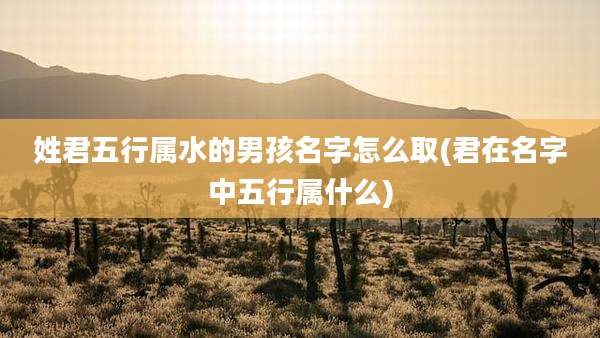 姓君五行属水的男孩名字怎么取(君在名字中五行属什么)