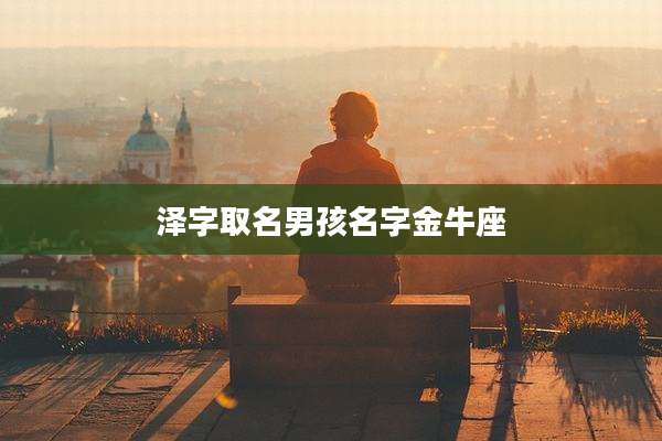 泽字取名男孩名字金牛座