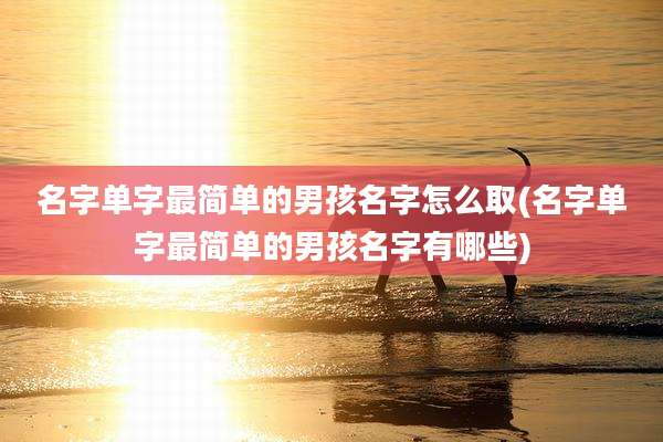 名字单字最简单的男孩名字怎么取(名字单字最简单的男孩名字有哪些)