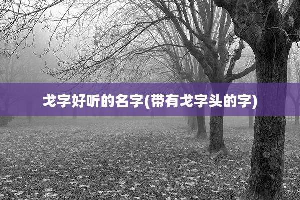 戈字好听的名字(带有戈字头的字)
