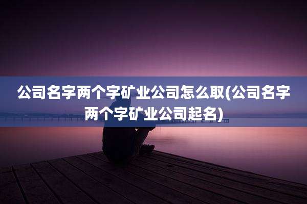 公司名字两个字矿业公司怎么取(公司名字两个字矿业公司起名)