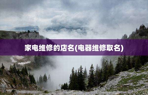 家电维修的店名(电器维修取名)