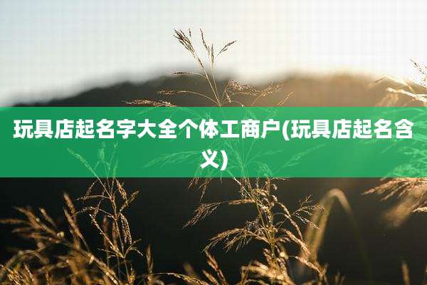 玩具店起名字大全个体工商户(玩具店起名含义)