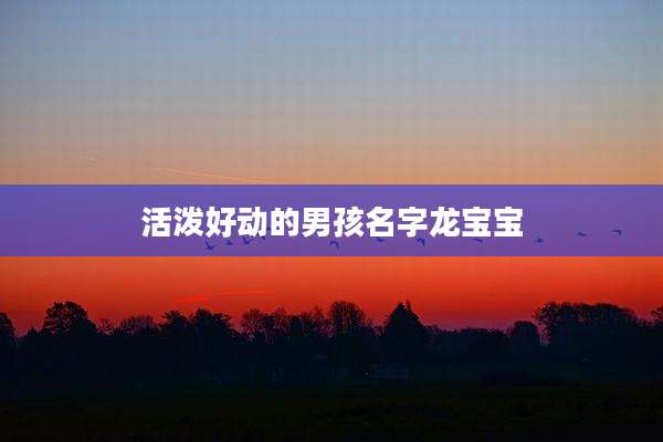 活泼好动的男孩名字龙宝宝