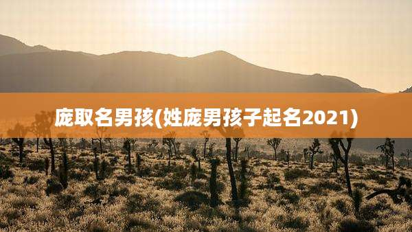 庞取名男孩(姓庞男孩子起名2021)