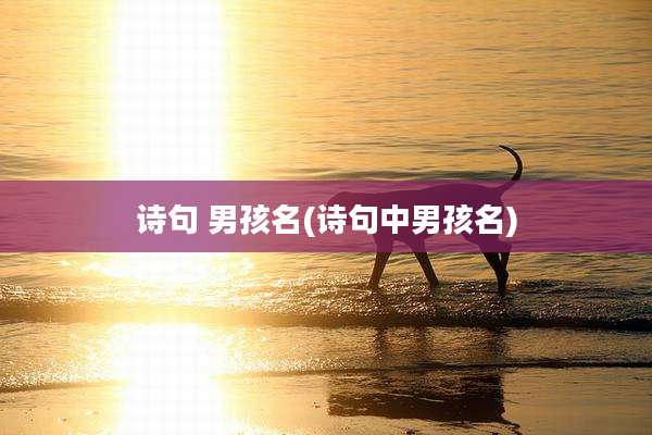 诗句 男孩名(诗句中男孩名)