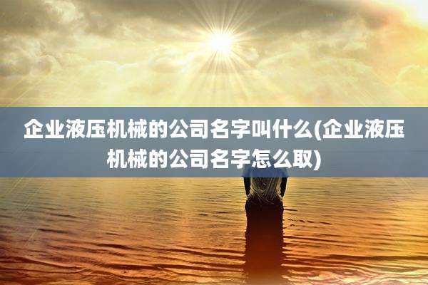 企业液压机械的公司名字叫什么(企业液压机械的公司名字怎么取)